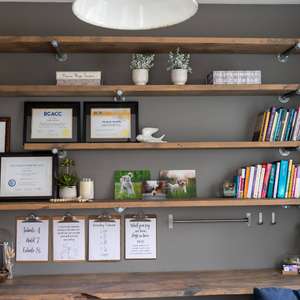 About Elizabeth Nardella Counselling