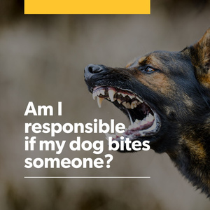 About Findlay Personal Injury Lawyers