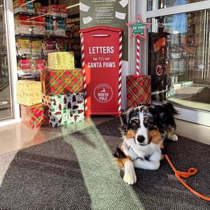 Homes Alive Pets Website