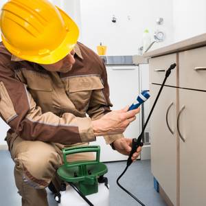 Quality Pest Control GTA Etobicoke Website