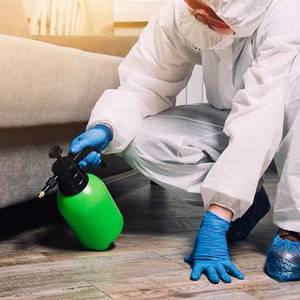 Quality Pest Control GTA Etobicoke Hours