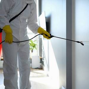 About Quality Pest Control GTA Etobicoke
